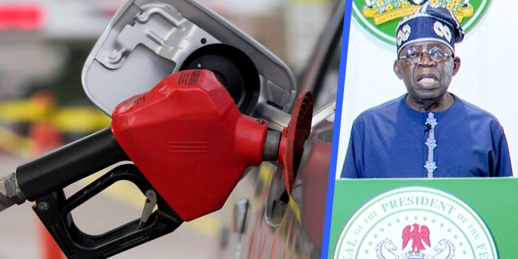 No Regret Removing Petrol Subsidy, Tinubu Insists
