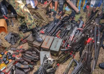 Senate Committee Raises Alarm Over 3,900 Missing Firearms, Queries Police on Missing Weapons