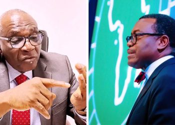 You Spoke Like Politician -Presidency Tackles Adesina Over GDP Comment
